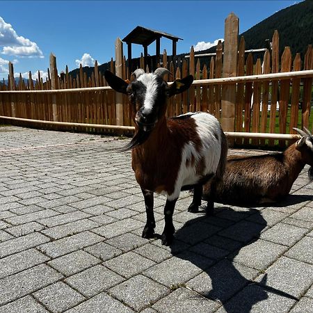 Apartamento Pichlerhof Planca di Sopra Exterior foto