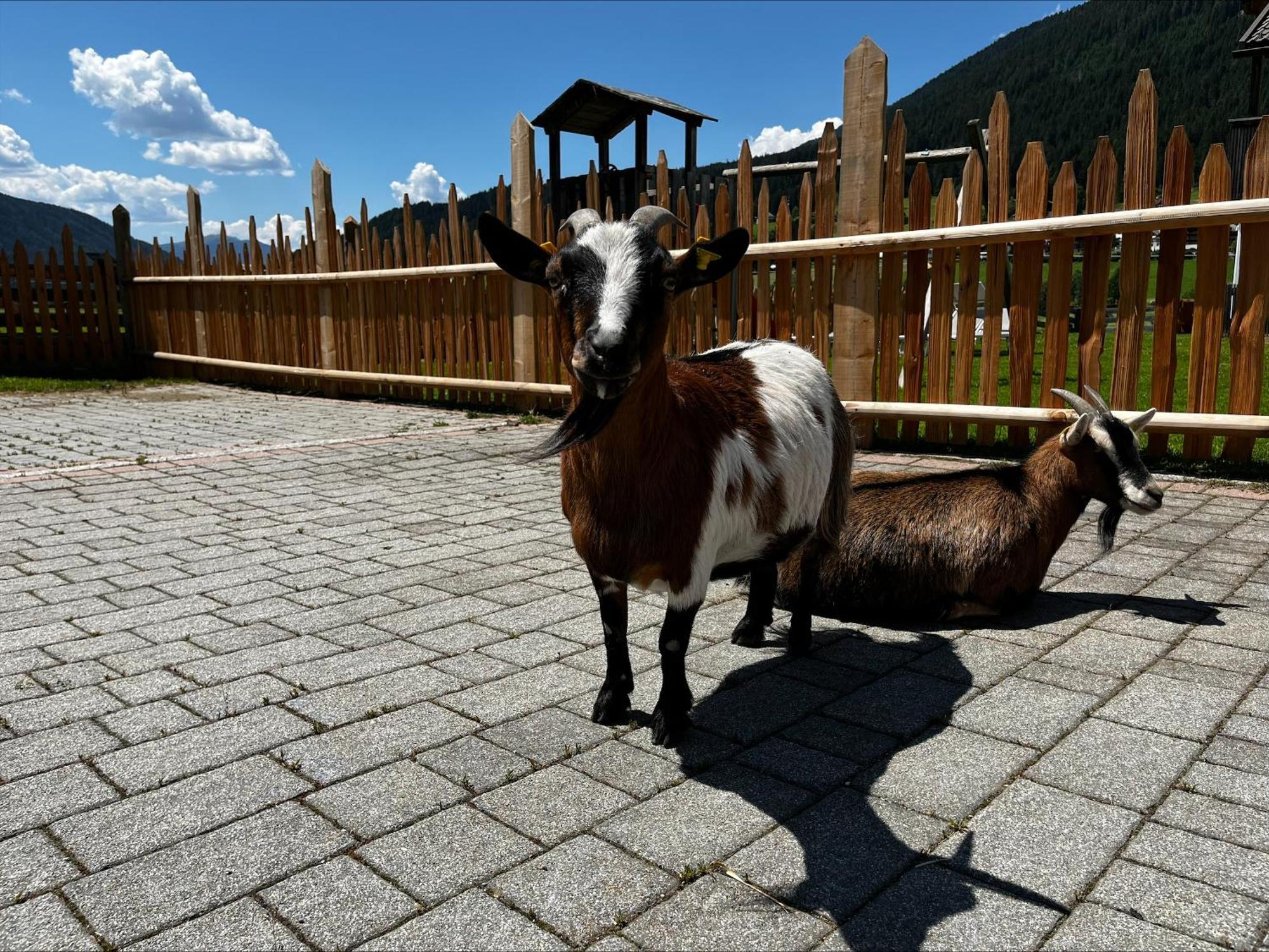 Apartamento Pichlerhof Planca di Sopra Exterior foto